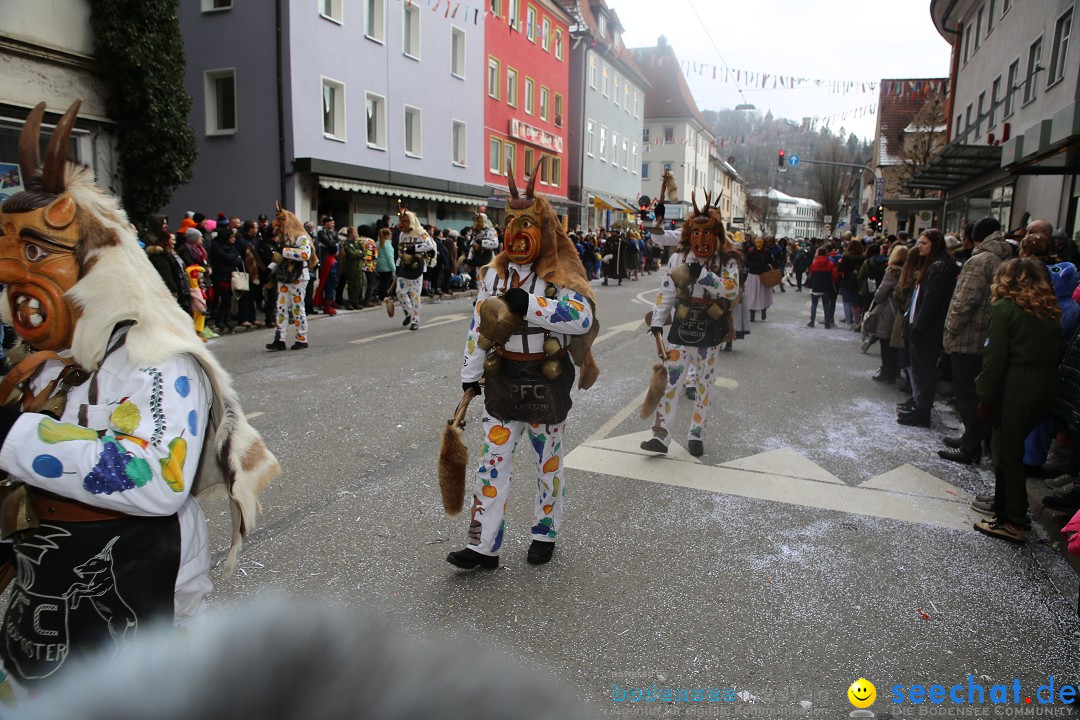 Tuttlinger Fasnetumzug: Tuttlingen am Bodensee, 10.02.2018