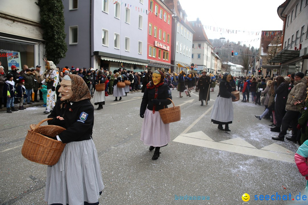 Tuttlinger Fasnetumzug: Tuttlingen am Bodensee, 10.02.2018