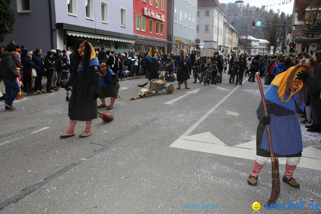 Tuttlinger Fasnetumzug: Tuttlingen am Bodensee, 10.02.2018