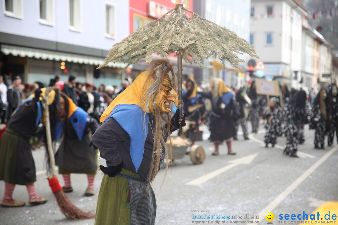 Tuttlinger Fasnetumzug: Tuttlingen am Bodensee, 10.02.2018