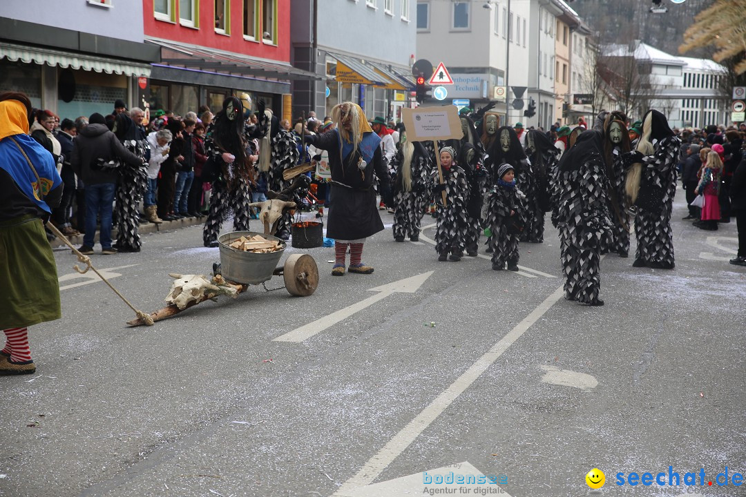 Tuttlinger Fasnetumzug: Tuttlingen am Bodensee, 10.02.2018