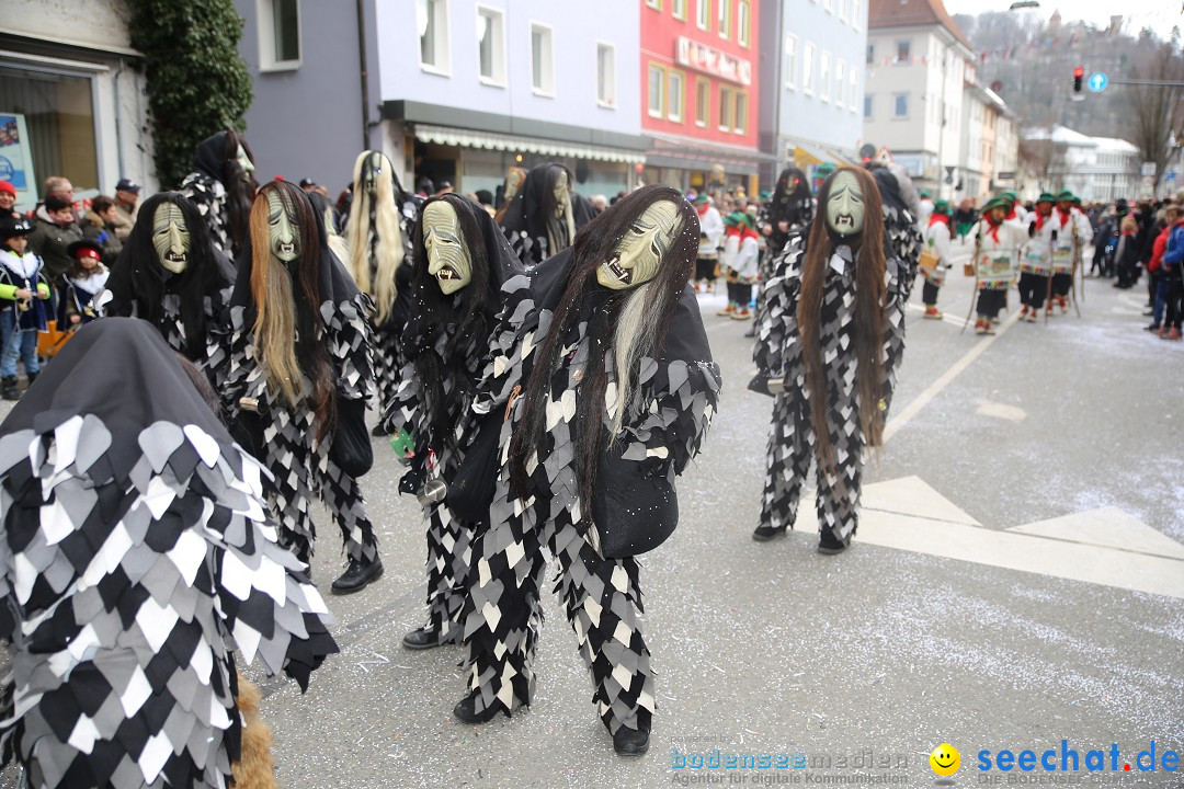 Tuttlinger Fasnetumzug: Tuttlingen am Bodensee, 10.02.2018