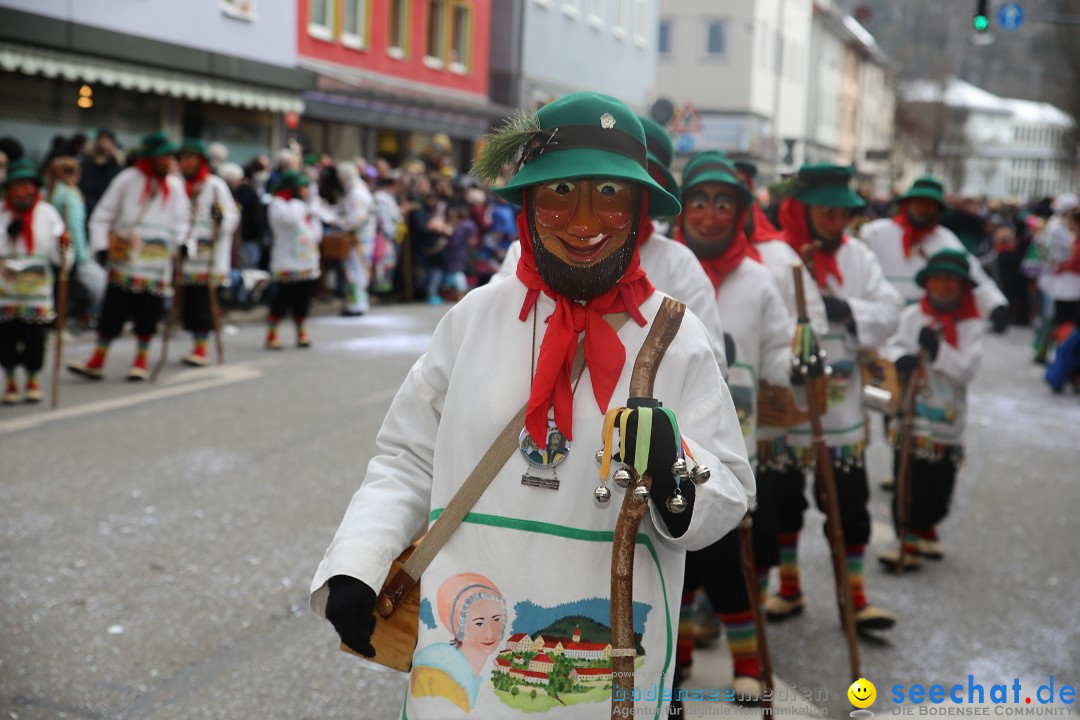 Tuttlinger Fasnetumzug: Tuttlingen am Bodensee, 10.02.2018