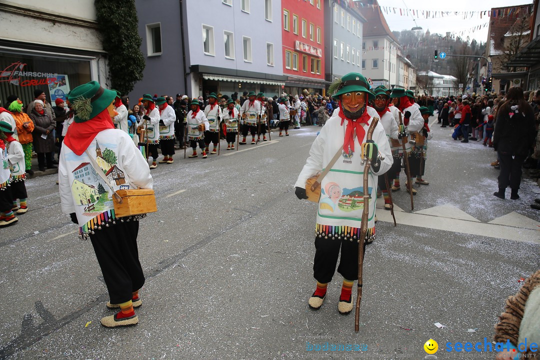 Tuttlinger Fasnetumzug: Tuttlingen am Bodensee, 10.02.2018