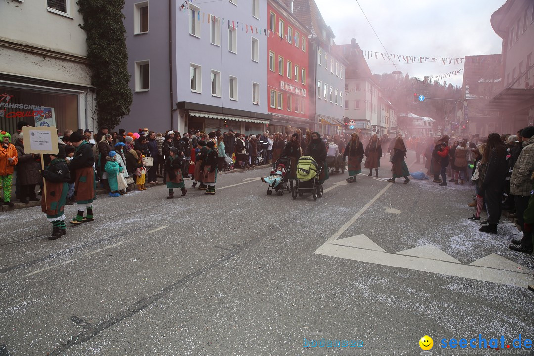 Tuttlinger Fasnetumzug: Tuttlingen am Bodensee, 10.02.2018