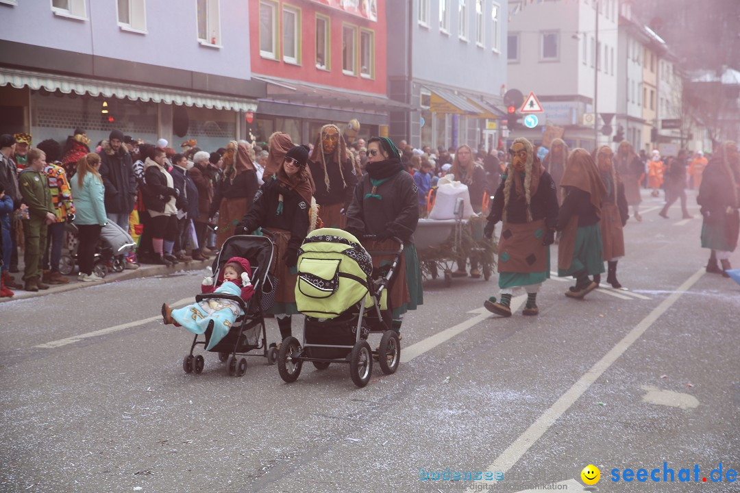 Tuttlinger Fasnetumzug: Tuttlingen am Bodensee, 10.02.2018