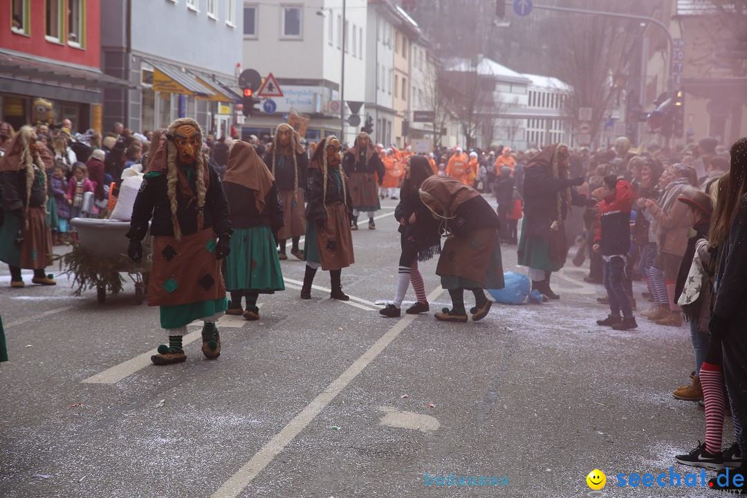 Tuttlinger Fasnetumzug: Tuttlingen am Bodensee, 10.02.2018