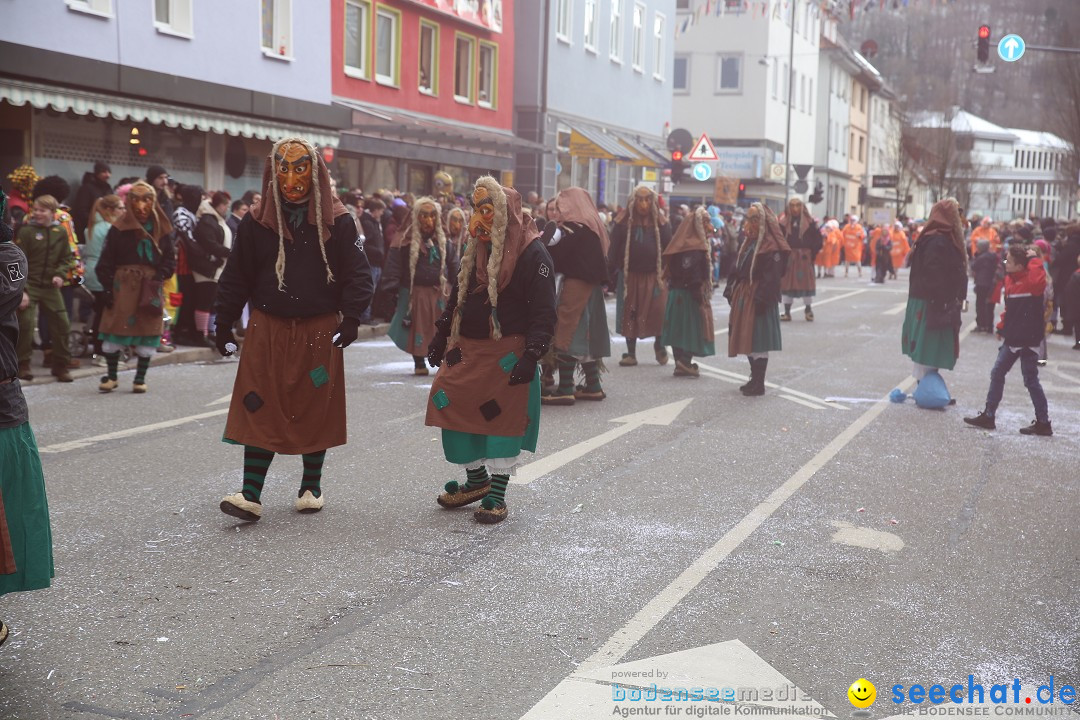 Tuttlinger Fasnetumzug: Tuttlingen am Bodensee, 10.02.2018