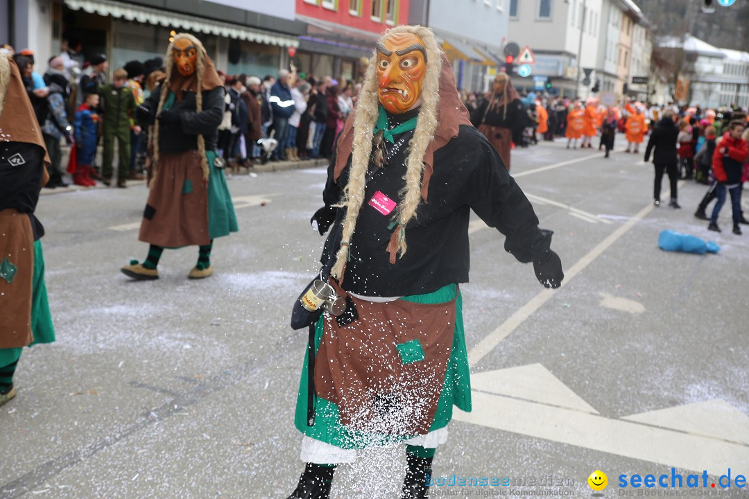 Tuttlinger Fasnetumzug: Tuttlingen am Bodensee, 10.02.2018