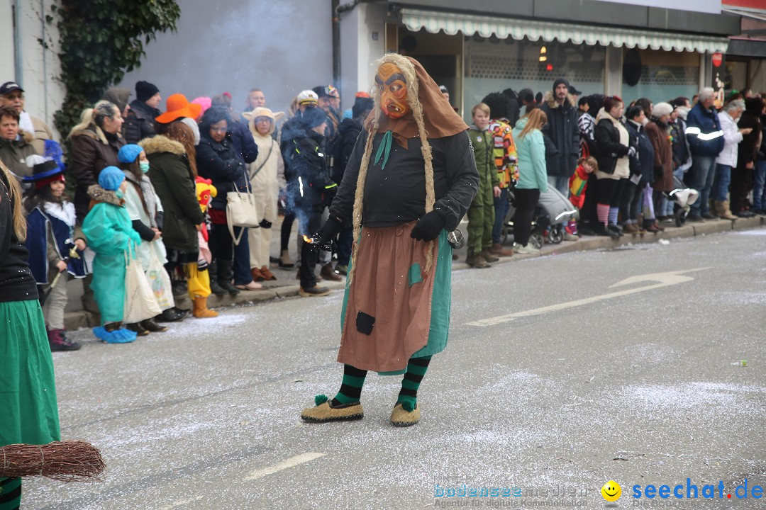 Tuttlinger Fasnetumzug: Tuttlingen am Bodensee, 10.02.2018