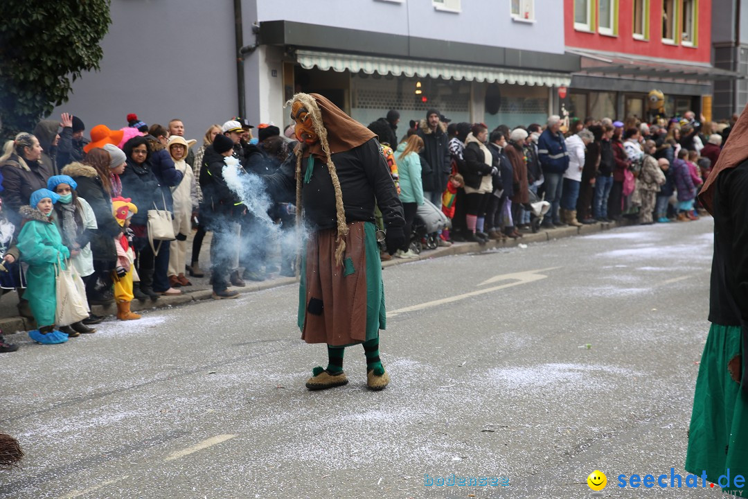 Tuttlinger Fasnetumzug: Tuttlingen am Bodensee, 10.02.2018