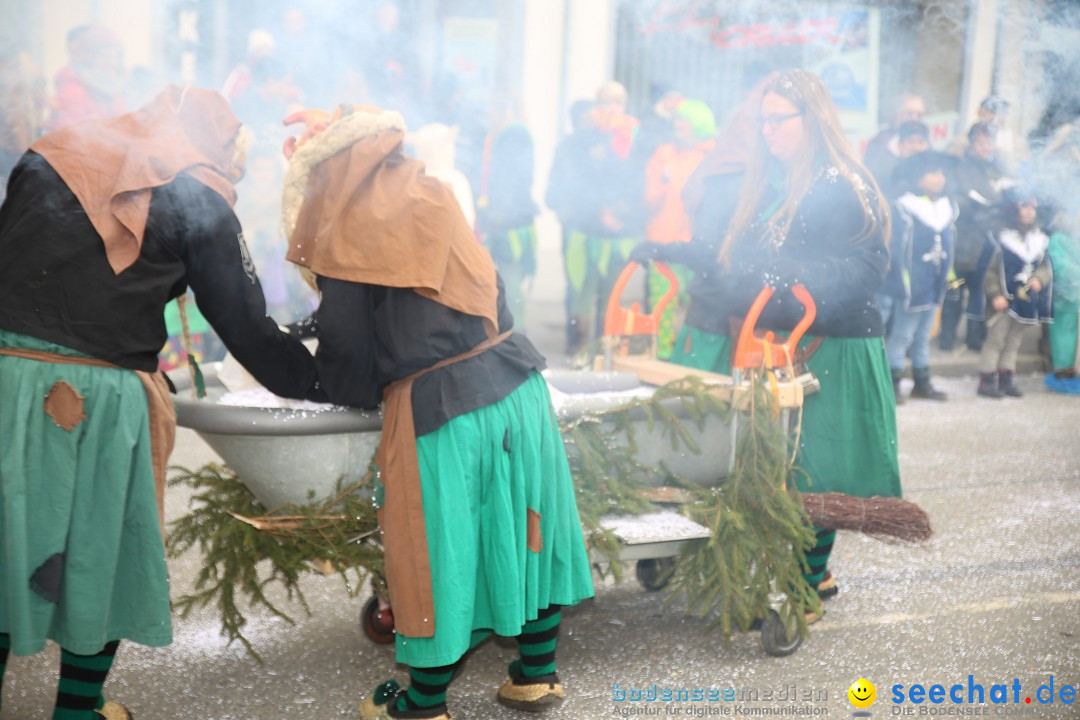 Tuttlinger Fasnetumzug: Tuttlingen am Bodensee, 10.02.2018