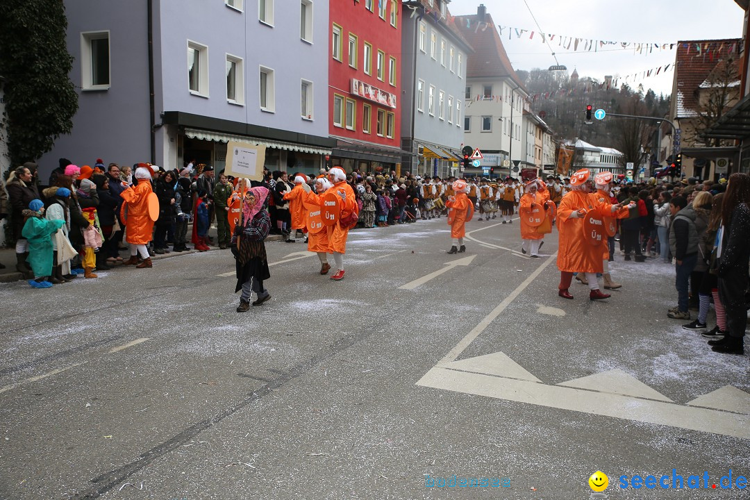 Tuttlinger Fasnetumzug: Tuttlingen am Bodensee, 10.02.2018