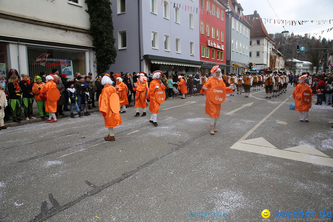 Tuttlinger Fasnetumzug: Tuttlingen am Bodensee, 10.02.2018