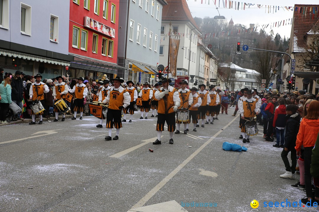 Tuttlinger Fasnetumzug: Tuttlingen am Bodensee, 10.02.2018