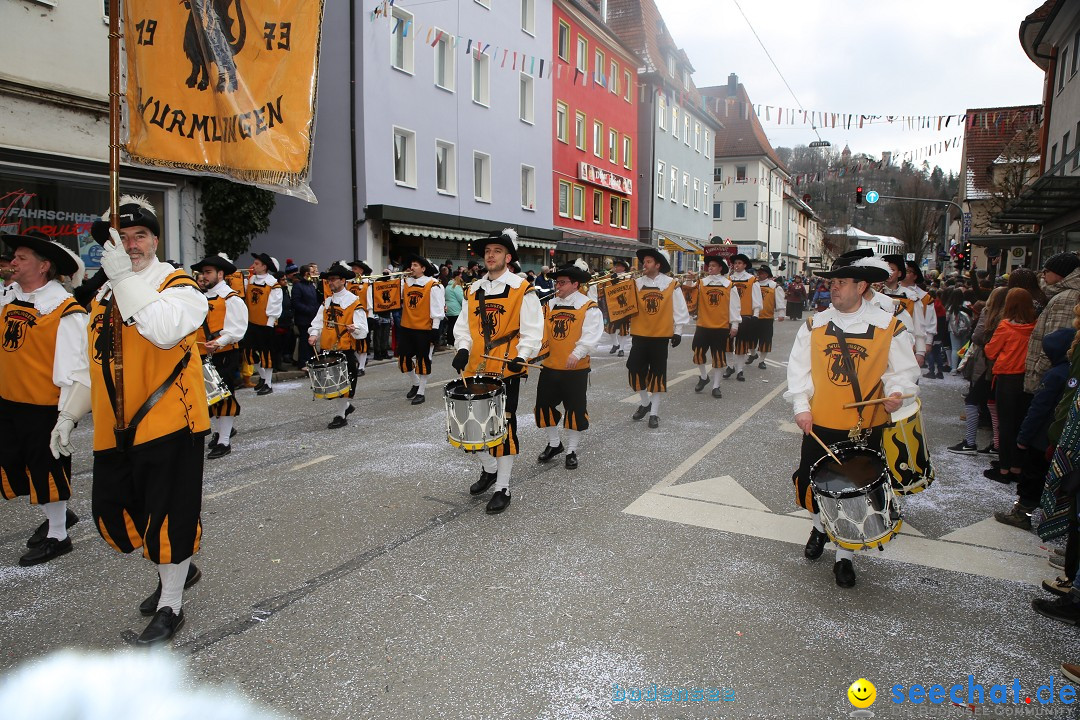 Tuttlinger Fasnetumzug: Tuttlingen am Bodensee, 10.02.2018