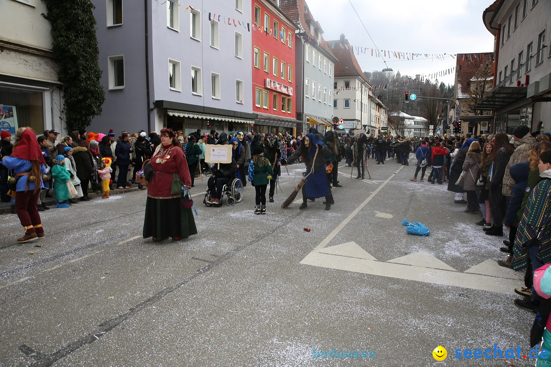 Tuttlinger Fasnetumzug: Tuttlingen am Bodensee, 10.02.2018