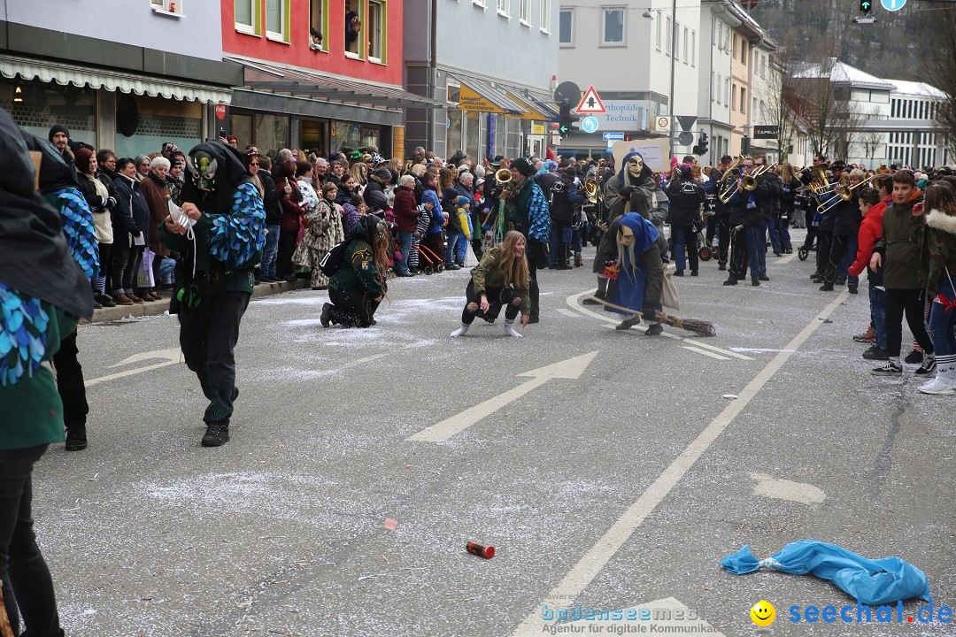 Tuttlinger Fasnetumzug: Tuttlingen am Bodensee, 10.02.2018