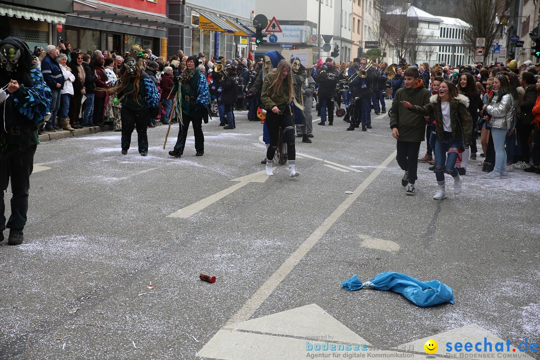 Tuttlinger Fasnetumzug: Tuttlingen am Bodensee, 10.02.2018