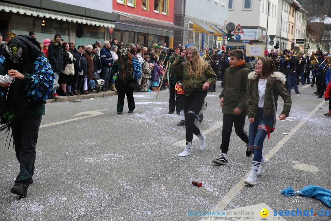 Tuttlinger Fasnetumzug: Tuttlingen am Bodensee, 10.02.2018