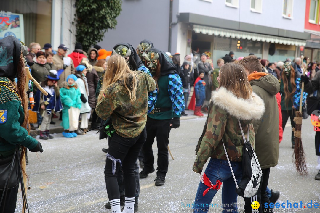 Tuttlinger Fasnetumzug: Tuttlingen am Bodensee, 10.02.2018