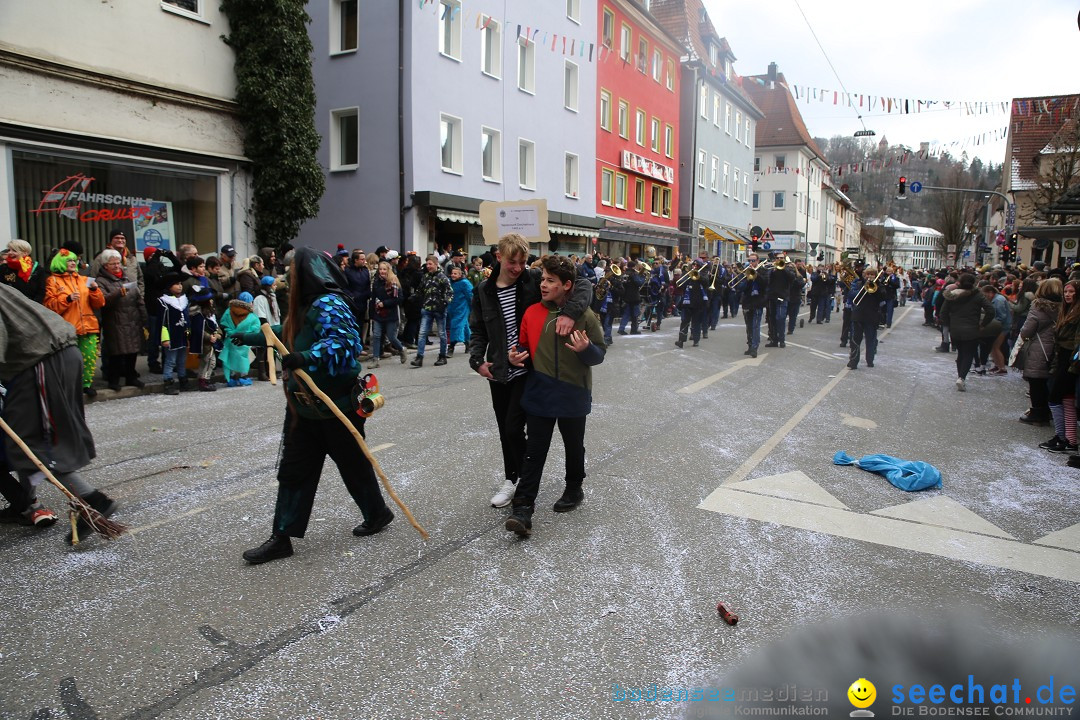 Tuttlinger Fasnetumzug: Tuttlingen am Bodensee, 10.02.2018