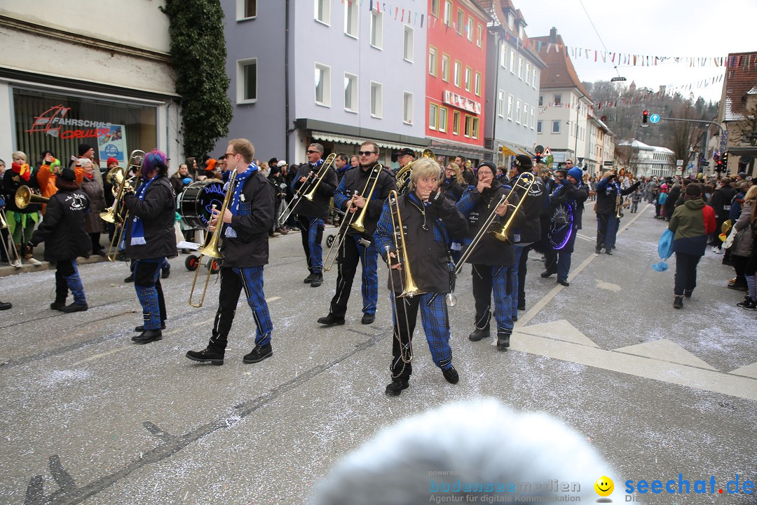 Tuttlinger Fasnetumzug: Tuttlingen am Bodensee, 10.02.2018