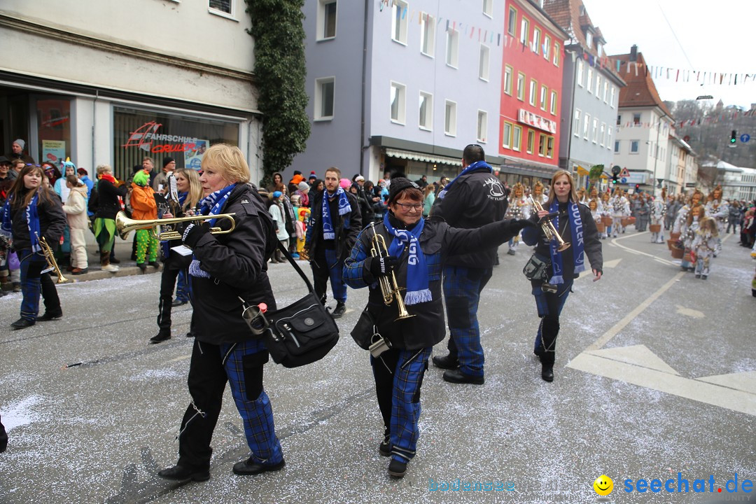 Tuttlinger Fasnetumzug: Tuttlingen am Bodensee, 10.02.2018