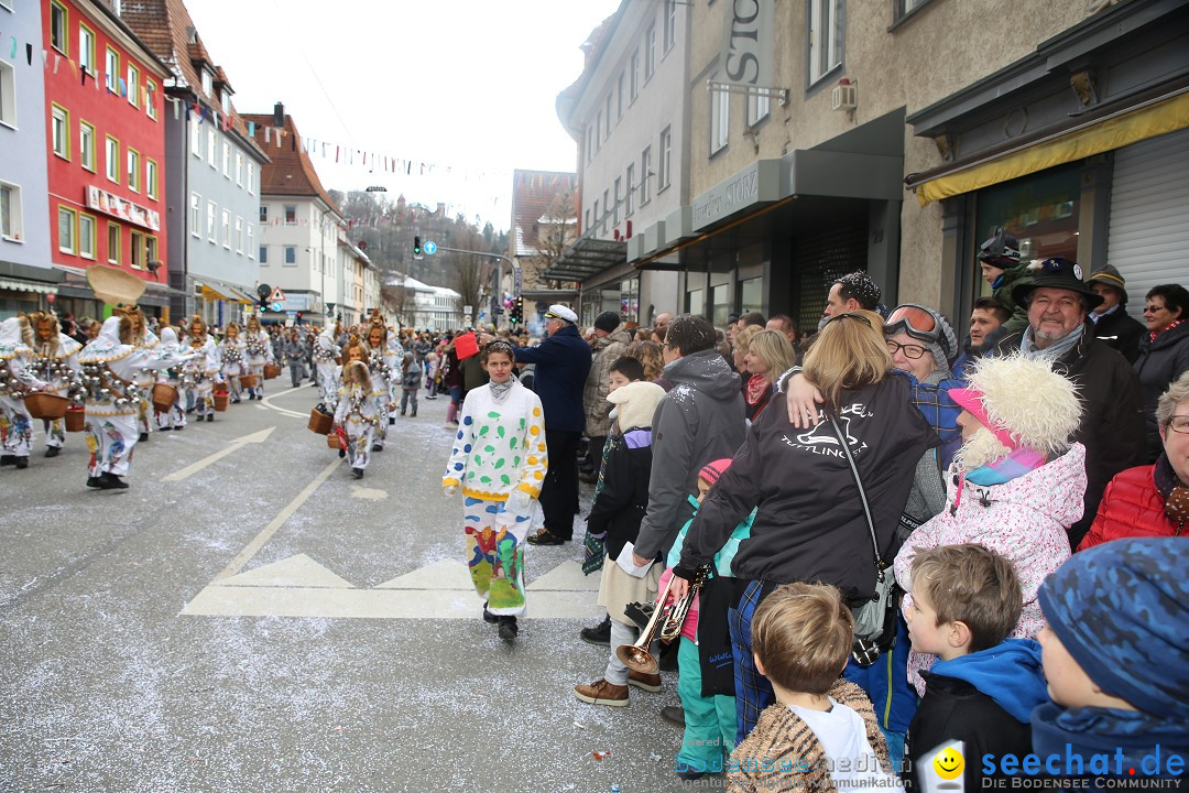 Tuttlinger Fasnetumzug: Tuttlingen am Bodensee, 10.02.2018