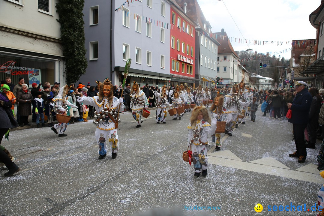 Tuttlinger Fasnetumzug: Tuttlingen am Bodensee, 10.02.2018