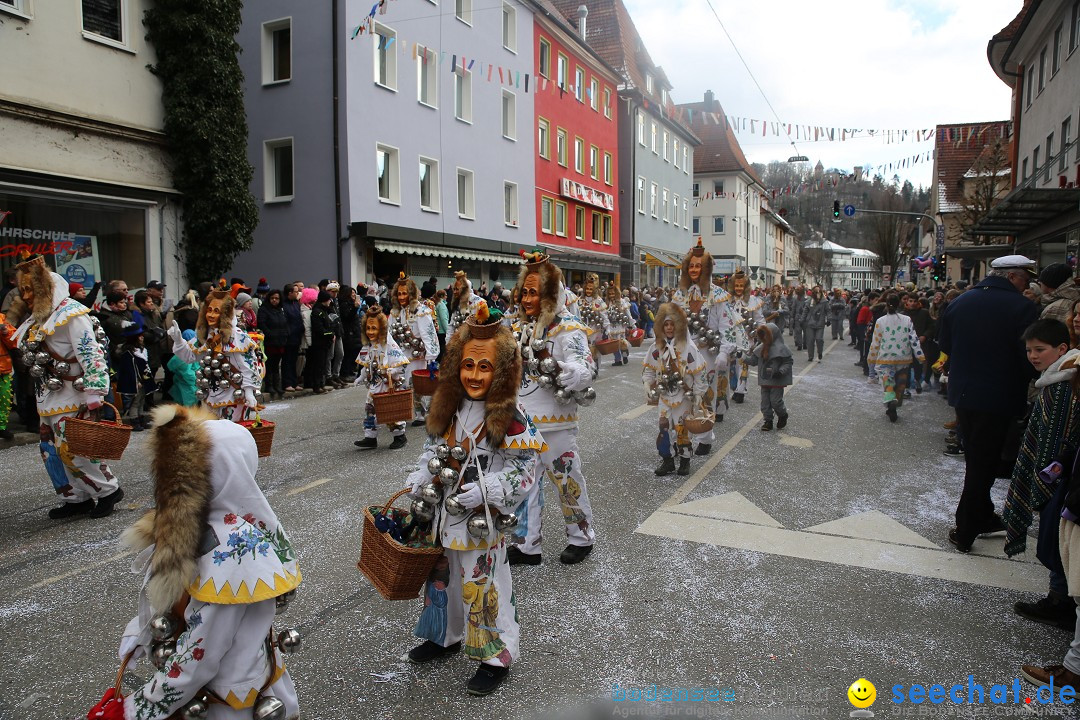 Tuttlinger Fasnetumzug: Tuttlingen am Bodensee, 10.02.2018