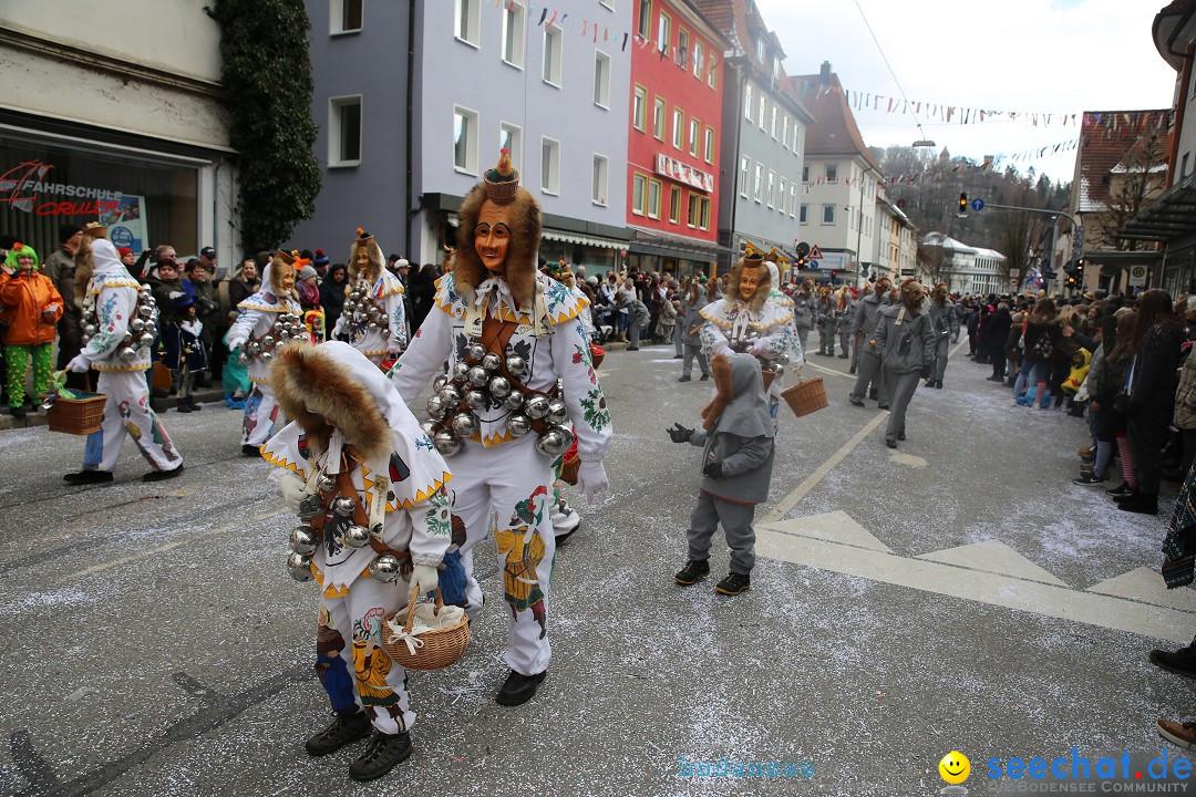 Tuttlinger Fasnetumzug: Tuttlingen am Bodensee, 10.02.2018