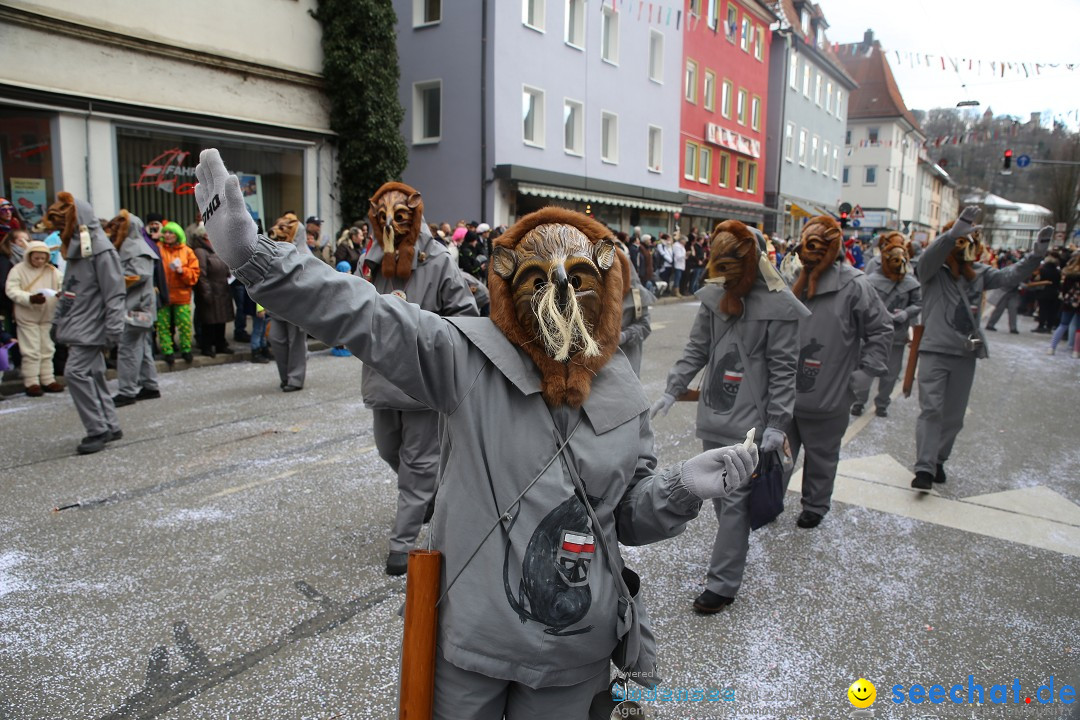 Tuttlinger Fasnetumzug: Tuttlingen am Bodensee, 10.02.2018