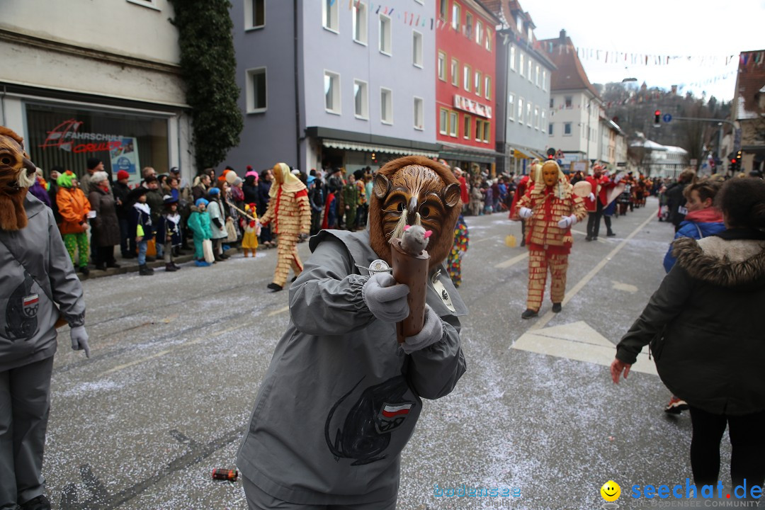 Tuttlinger Fasnetumzug: Tuttlingen am Bodensee, 10.02.2018