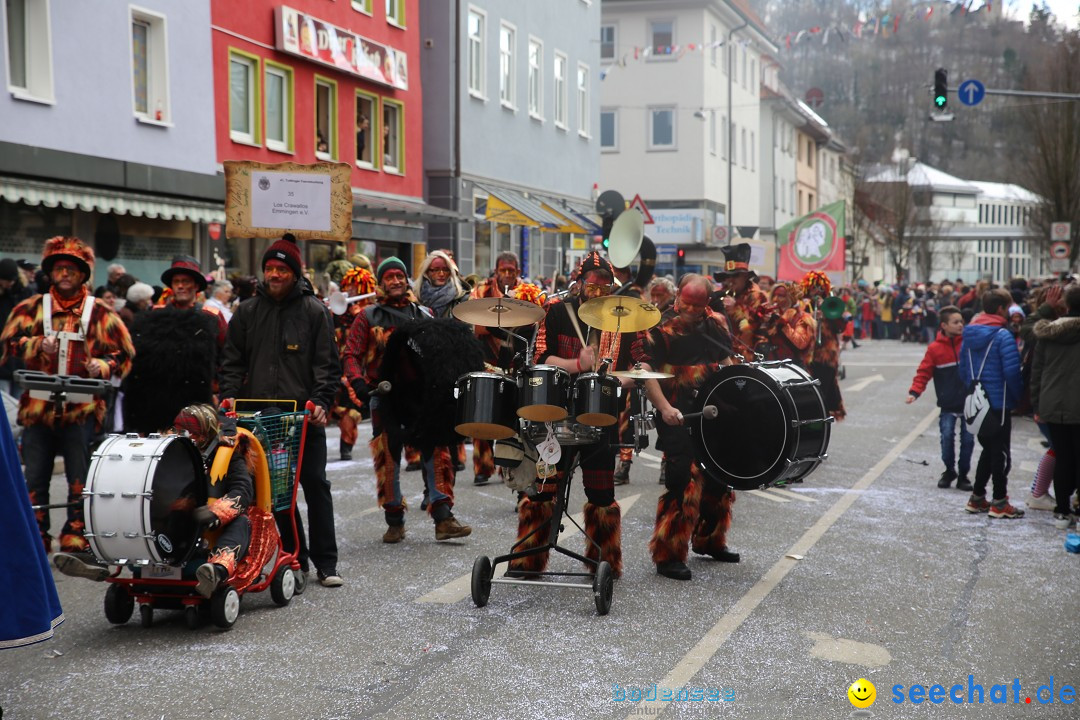 Tuttlinger Fasnetumzug: Tuttlingen am Bodensee, 10.02.2018