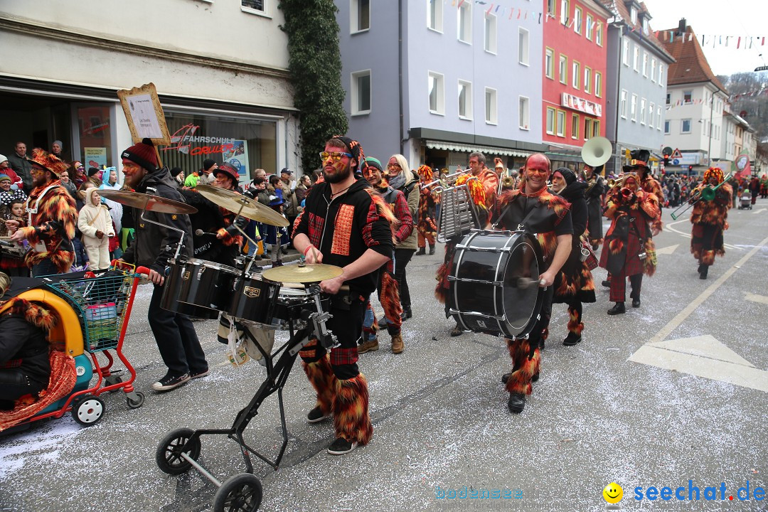 Tuttlinger Fasnetumzug: Tuttlingen am Bodensee, 10.02.2018