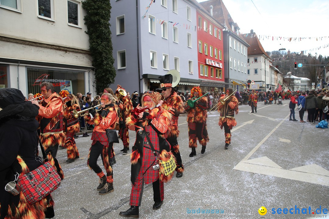 Tuttlinger Fasnetumzug: Tuttlingen am Bodensee, 10.02.2018