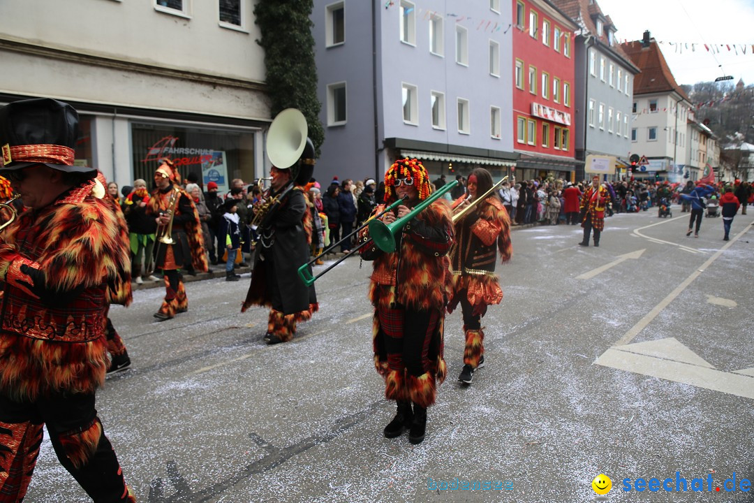 Tuttlinger Fasnetumzug: Tuttlingen am Bodensee, 10.02.2018