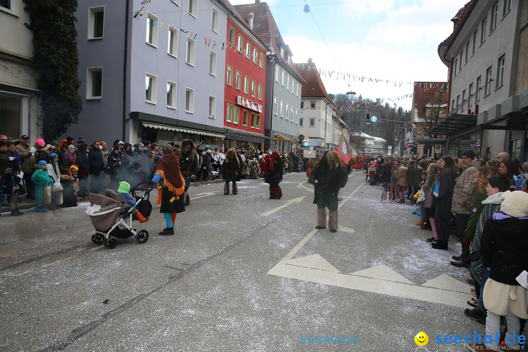 Tuttlinger Fasnetumzug: Tuttlingen am Bodensee, 10.02.2018