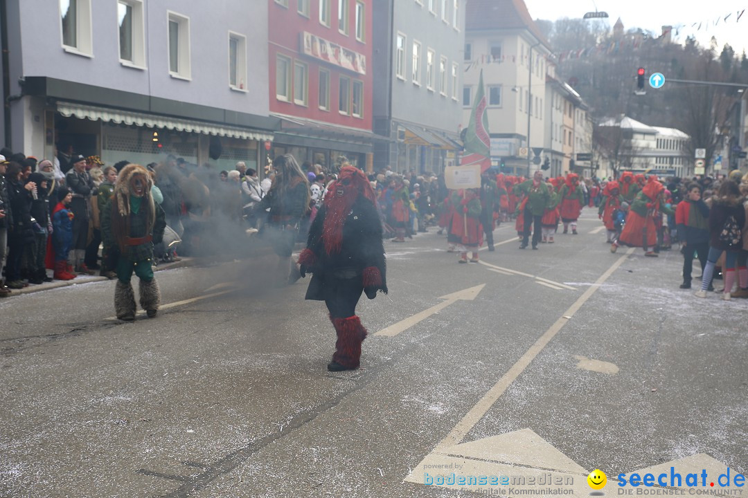 Tuttlinger Fasnetumzug: Tuttlingen am Bodensee, 10.02.2018