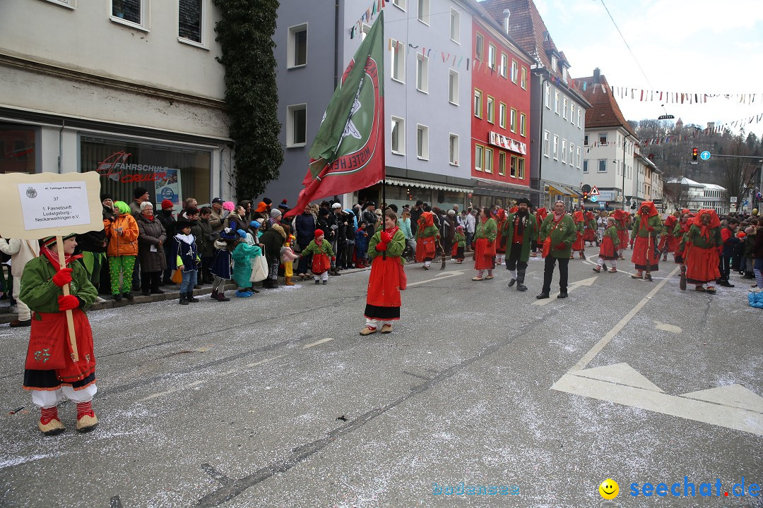 Tuttlinger Fasnetumzug: Tuttlingen am Bodensee, 10.02.2018