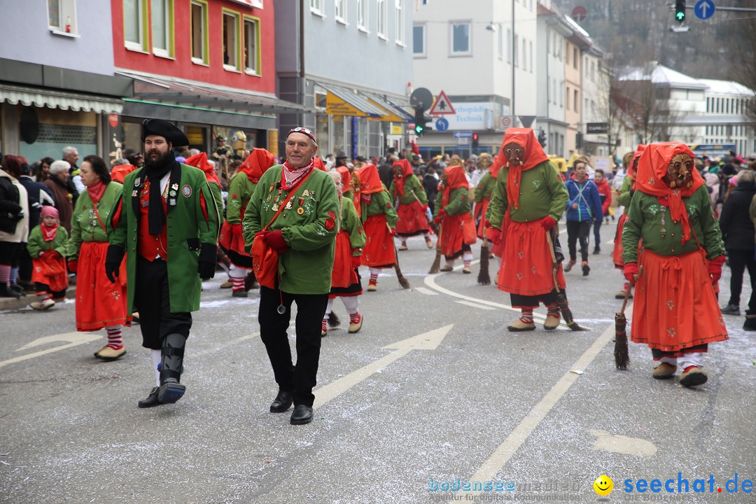 Tuttlinger Fasnetumzug: Tuttlingen am Bodensee, 10.02.2018