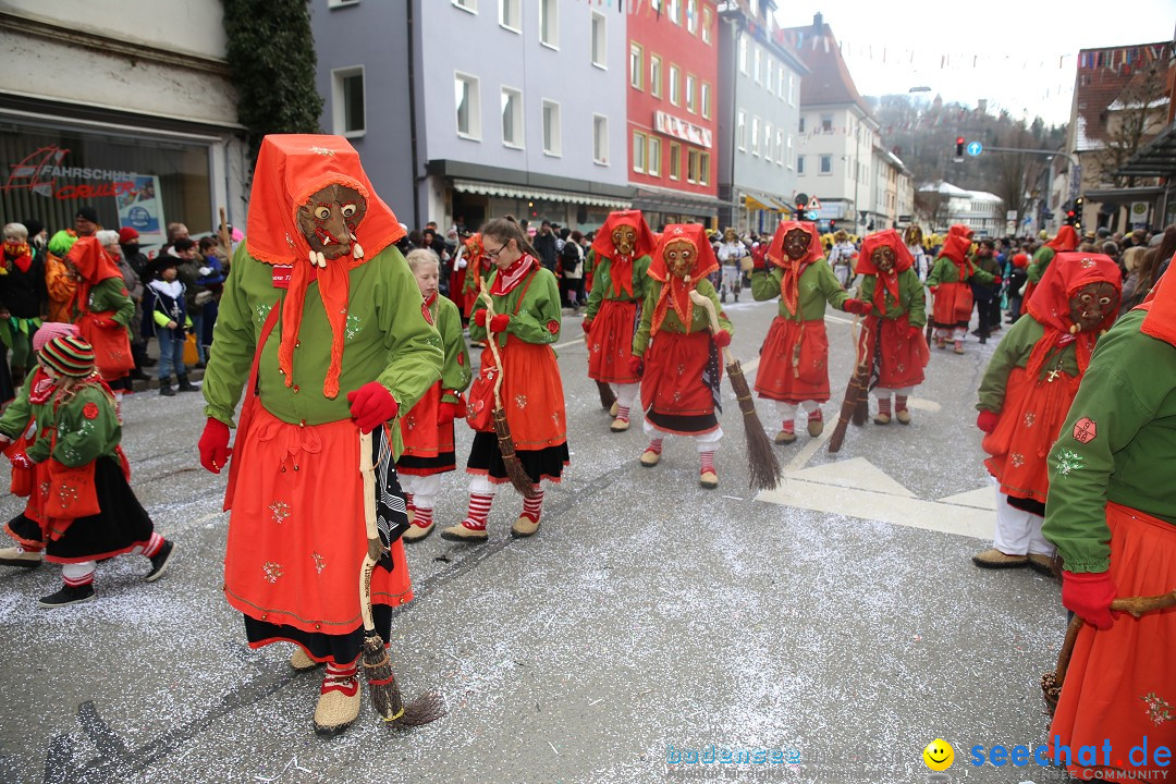 Tuttlinger Fasnetumzug: Tuttlingen am Bodensee, 10.02.2018