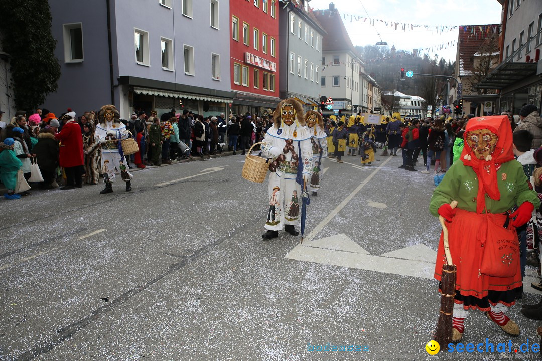 Tuttlinger Fasnetumzug: Tuttlingen am Bodensee, 10.02.2018