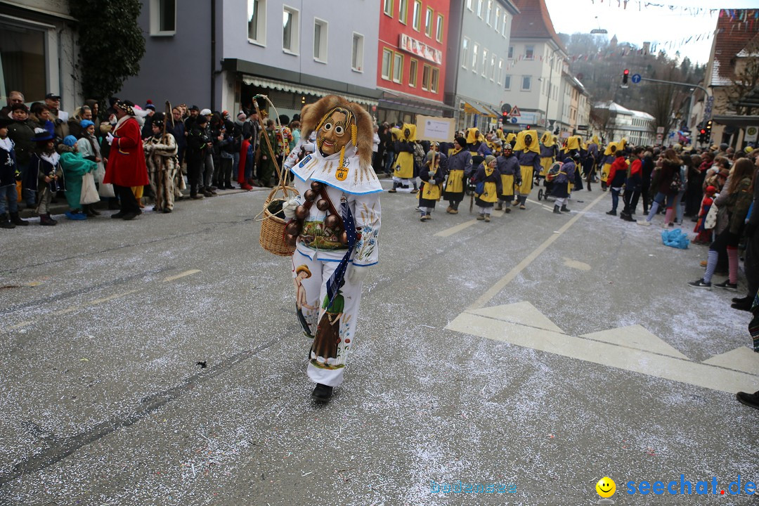 Tuttlinger Fasnetumzug: Tuttlingen am Bodensee, 10.02.2018