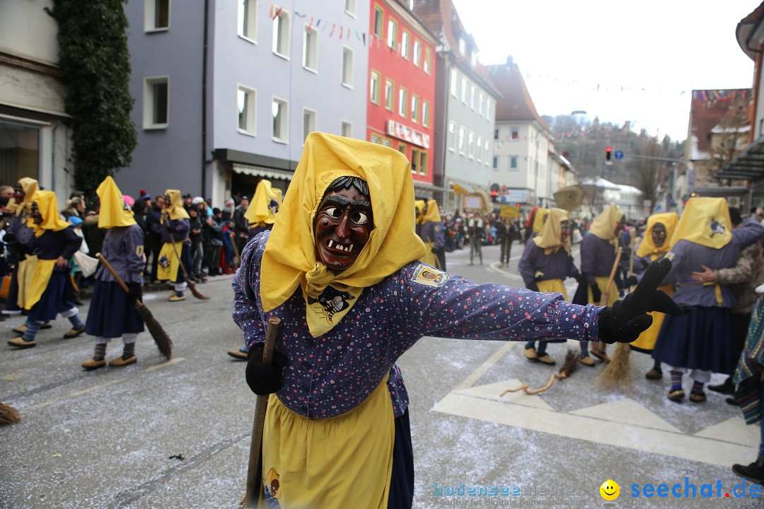 Tuttlinger Fasnetumzug: Tuttlingen am Bodensee, 10.02.2018