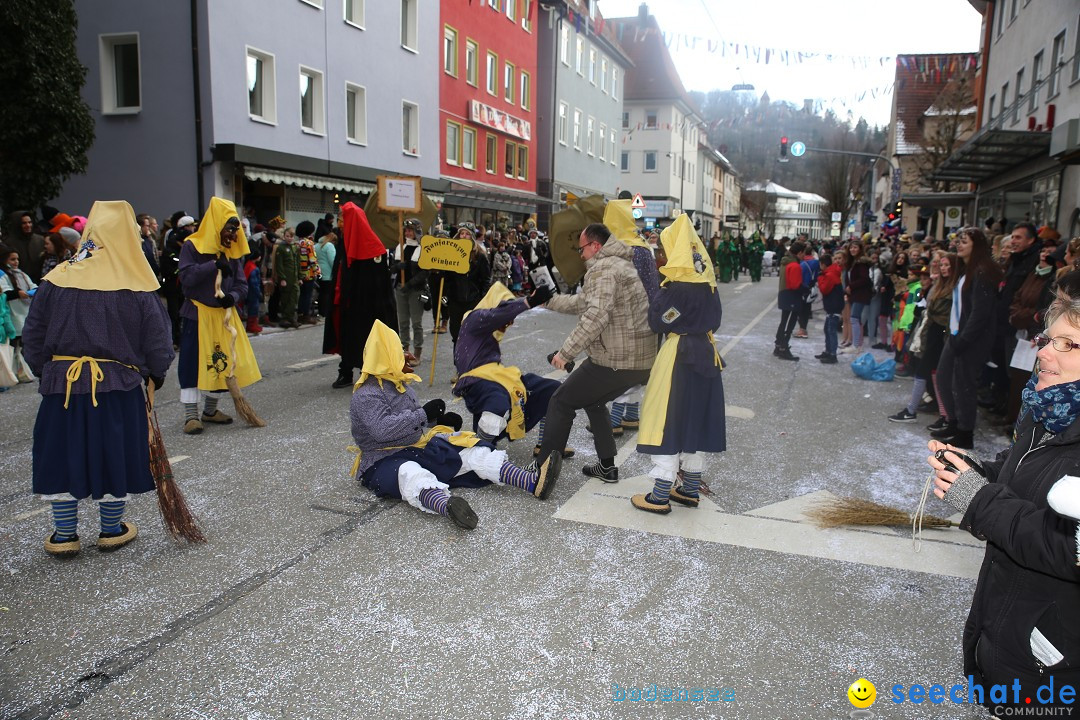 Tuttlinger Fasnetumzug: Tuttlingen am Bodensee, 10.02.2018