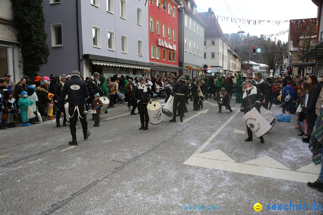 Tuttlinger Fasnetumzug: Tuttlingen am Bodensee, 10.02.2018