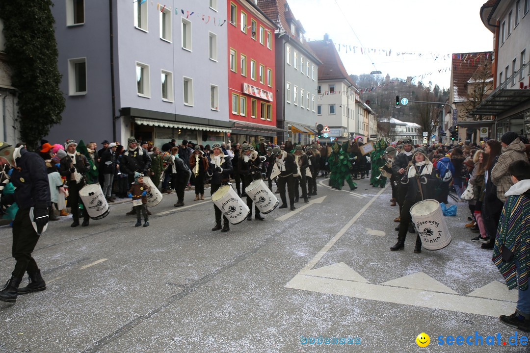 Tuttlinger Fasnetumzug: Tuttlingen am Bodensee, 10.02.2018