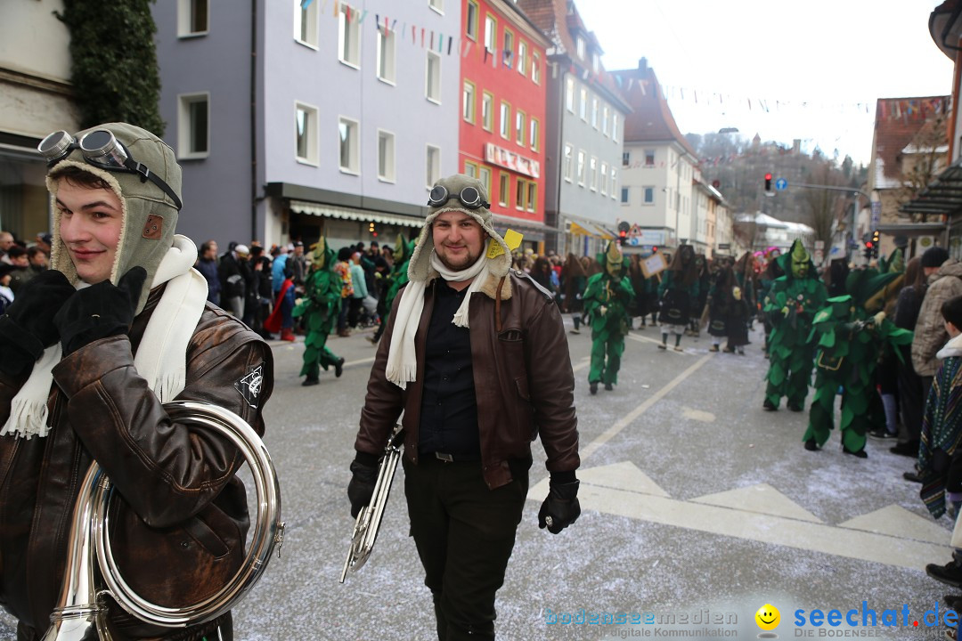 Tuttlinger Fasnetumzug: Tuttlingen am Bodensee, 10.02.2018